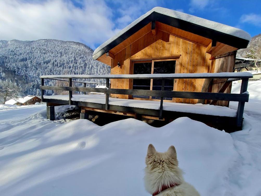 Le Chalet Du Blanc Spa Yoga Aillon-le-Jeune Экстерьер фото